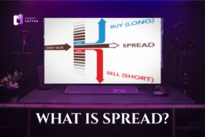 Forex Guides & Tutorials Forex Guides & Tutorials